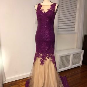 Purple Sequin Lace Dress (Dave & Johnny)